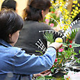 S10img_6142