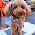 S10_img_0277