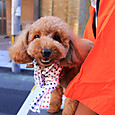 S10_img_0313