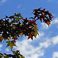 S10_img_0375