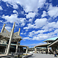 S10img_3632