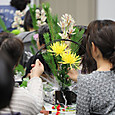 S10img_5674