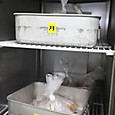 S10img_2501