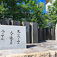 S__31a12981