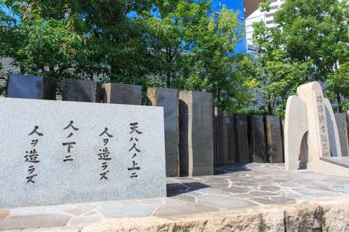 S__31a12981